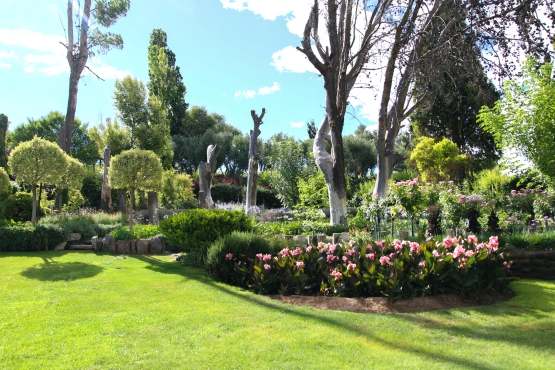 Garten